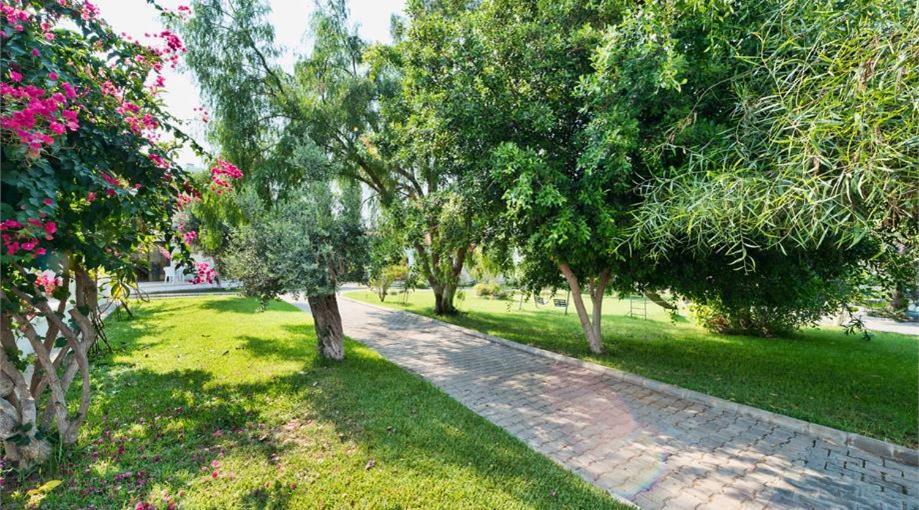 Bare Hill Holiday Apartments Krini エクステリア 写真
